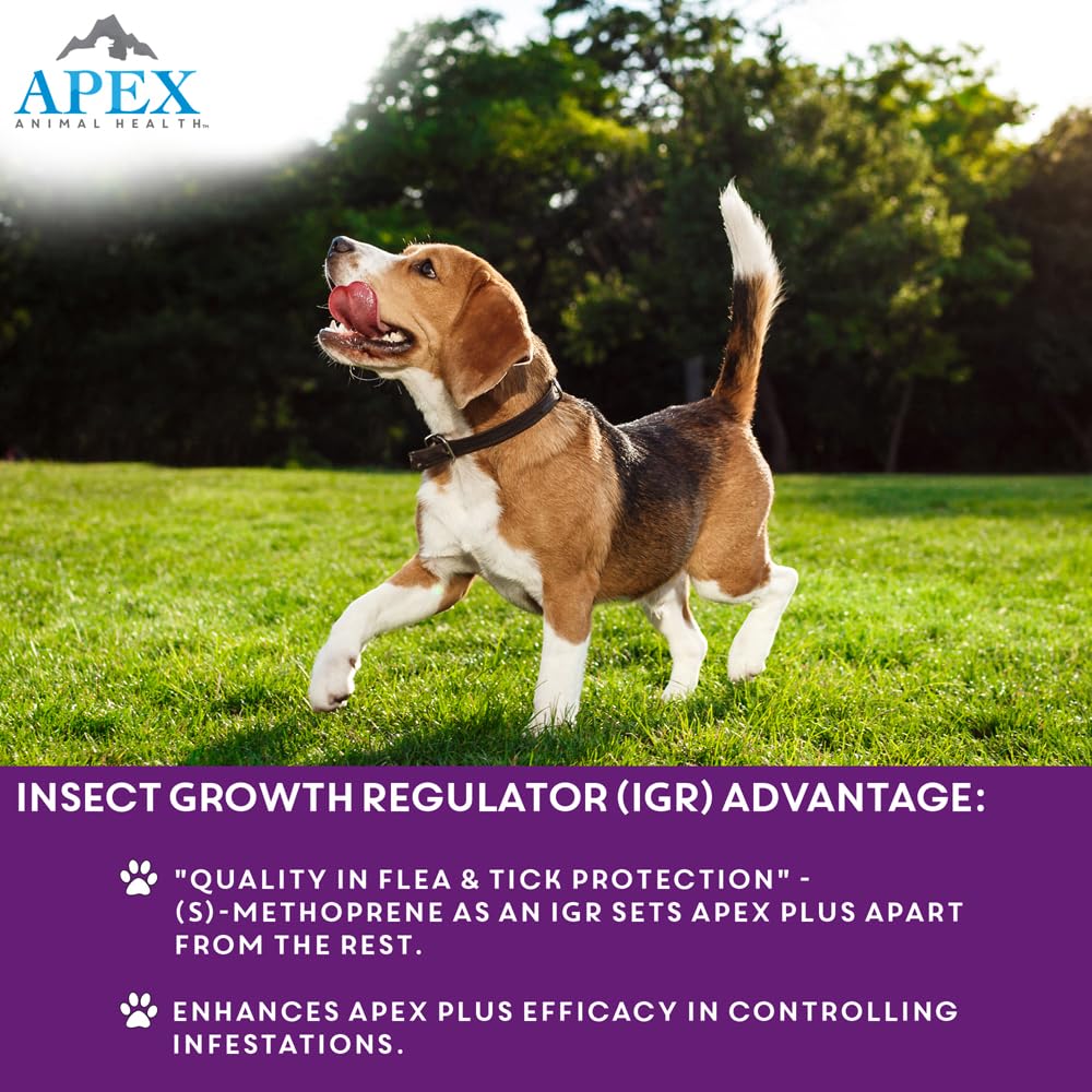 Apex Plus-diffusion huile naturelle: diffusion homogène via les huiles naturelles.