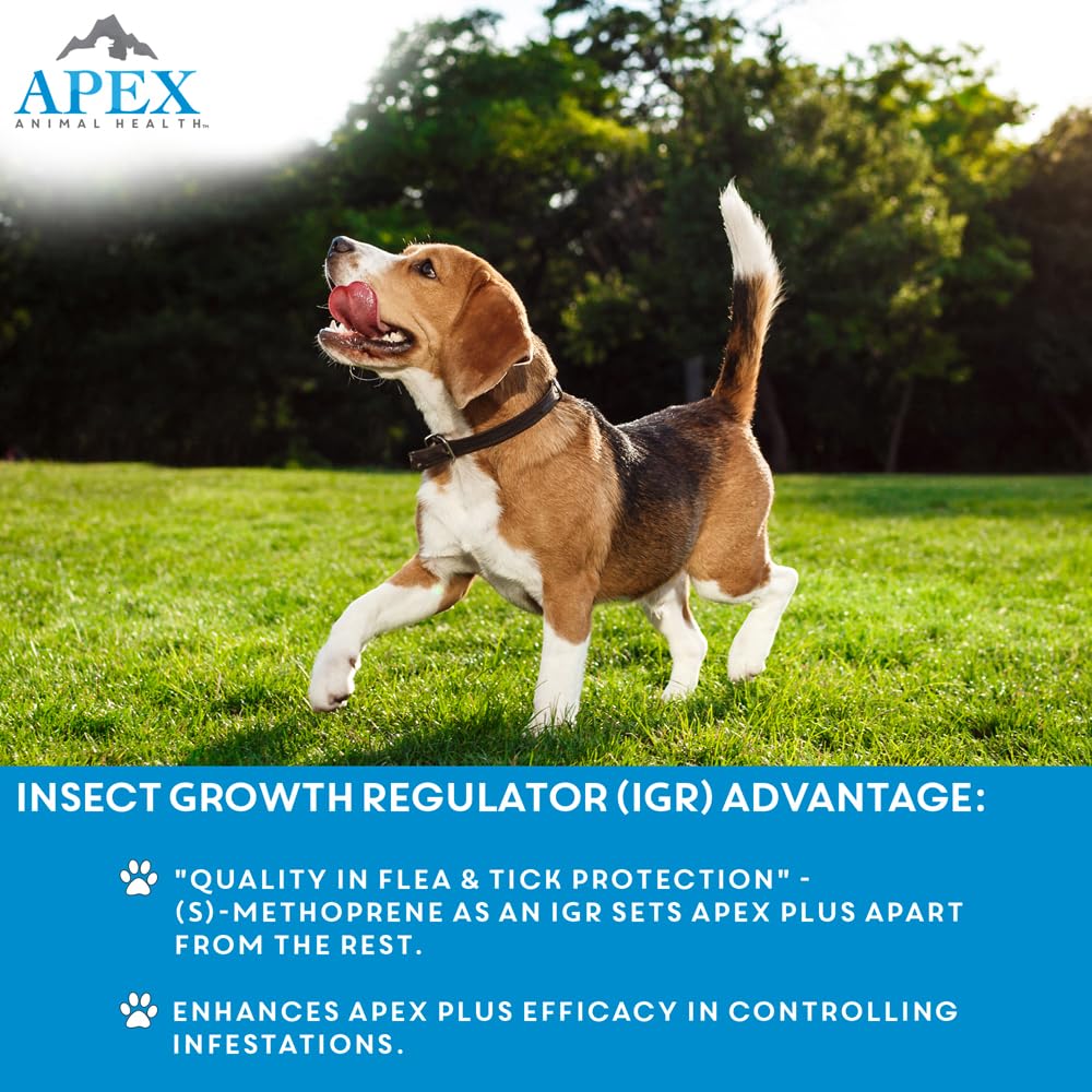 Apex Plus: fipronil-methoprene-action, attaque les parasites.