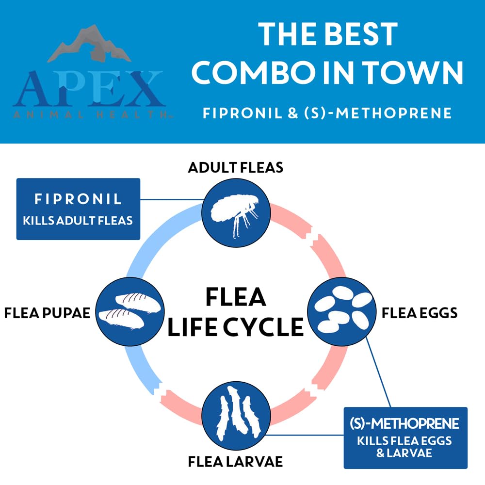 Apex Plus: protection de 30 jours pour chiens, tranquillité durable.