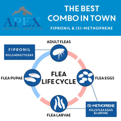 Apex Plus: protection de 30 jours pour chiens, tranquillité durable.