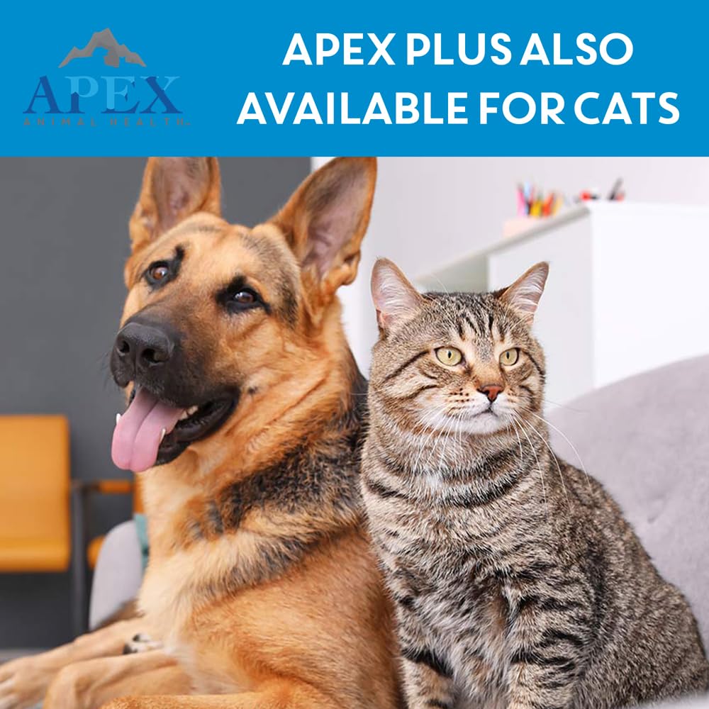 Apex Plus: soins du chien et confort améliorés grâce au traitement.