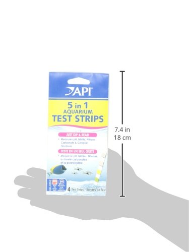 API bandelettes test eau salée, prévention des problèmes invisibles