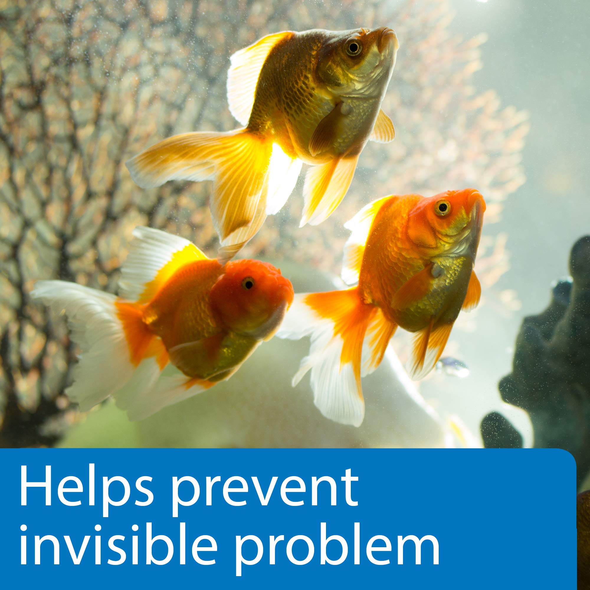 API 5-en-1 surveillance de la santé de l eau de l aquarium