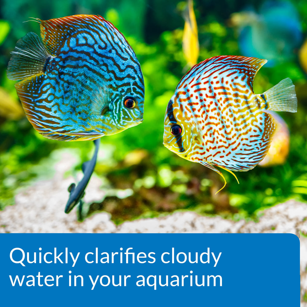 API ACCU-CLEAR : solution clarifiante favorisant une eau stable pour poissons et plantes.