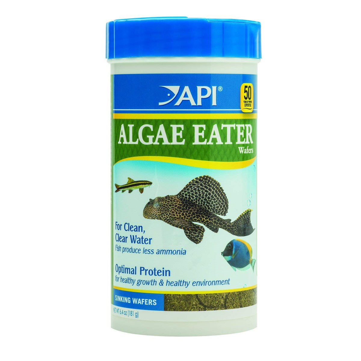 API ALGAE EATER WAFERS dans un bocal, alimentation complète pour poissons algivores.