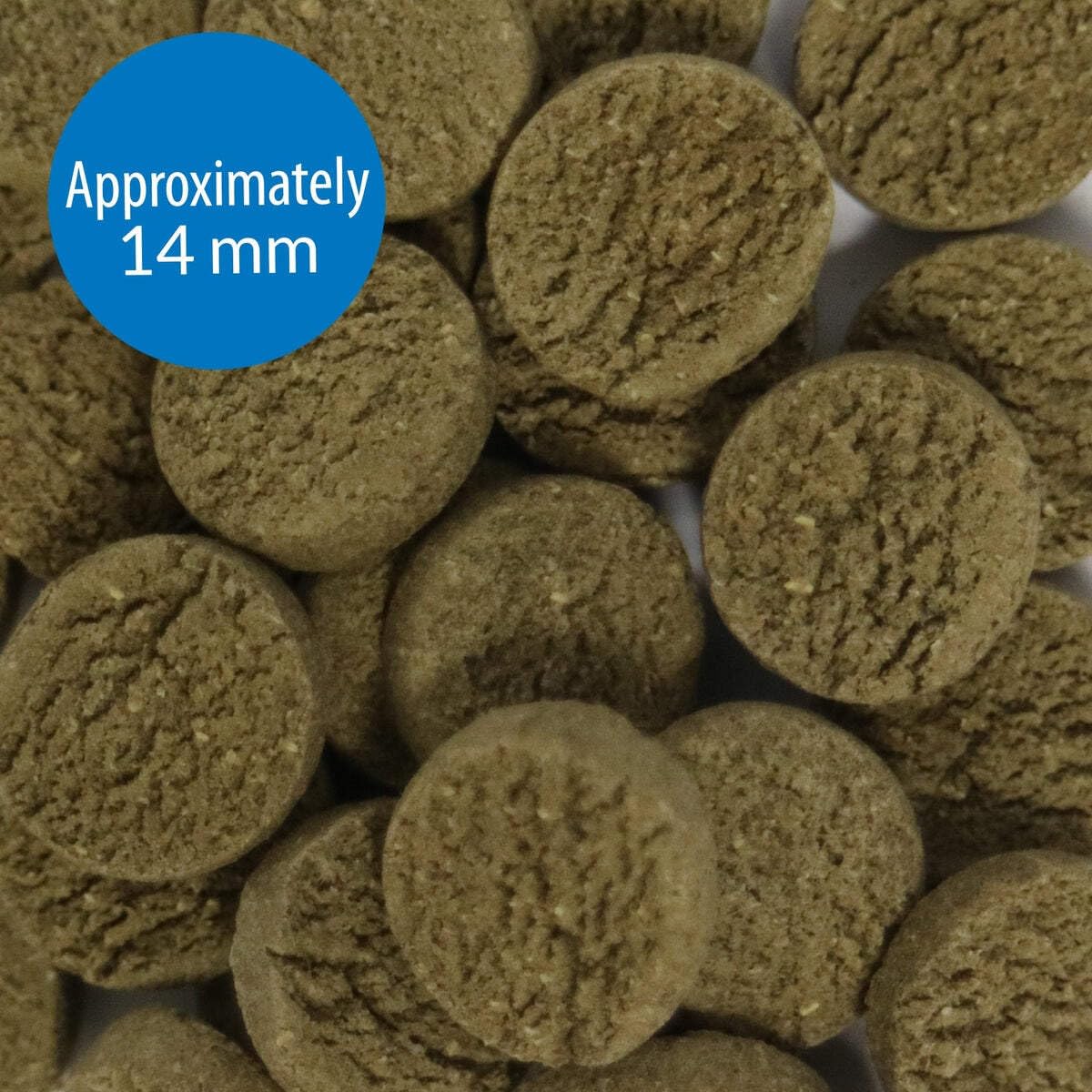 API Algae Eater Wafers: dosage simple en deux repas.