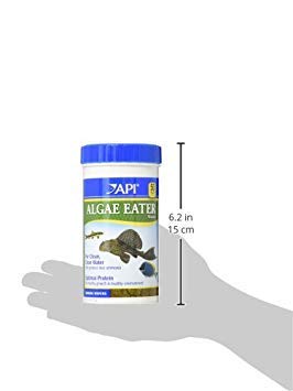 Parfait pour Plecos et Otocinclus, référence d'alimentation adaptée.