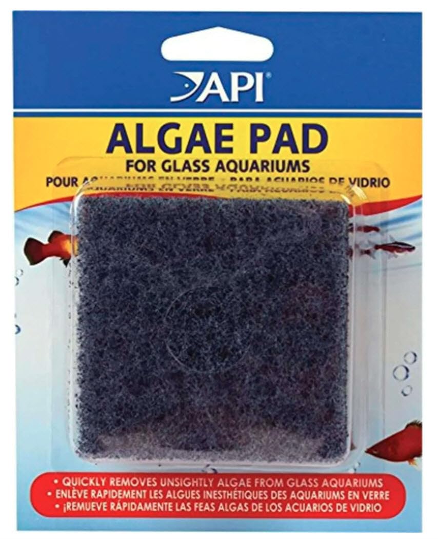 API Algae Pad: nettoyage manuel du verre d’aquarium