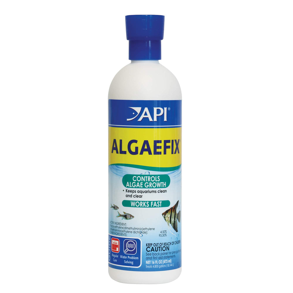 Flacon API ALGAEFIX de 473 ml prêt à l'emploi dans l'aquarium.