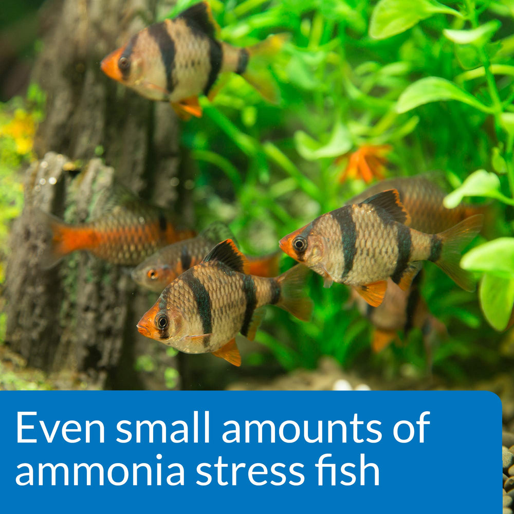 Exemple d utilisation dans un aquarium avec API Ammonia 130.
