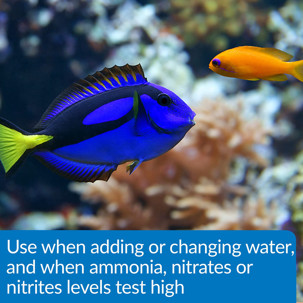 API AQUA ESSENTIAL – compatible avec tous types d aquariums eau douce et eau de mer.