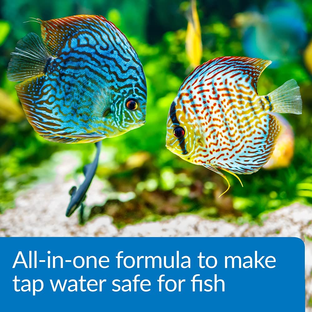 API AQUA ESSENTIAL – neutralise l ammoniaque dans l eau de l aquarium.