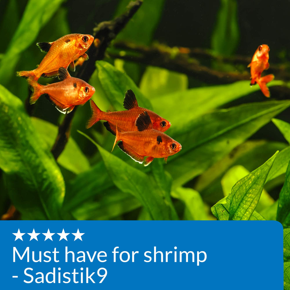 API aquarium-exemple-poissons: exemple d’installation saine et sécurisée.
