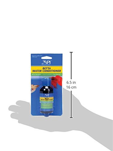 Renouvellement d eau facilité avec API Betta lors des changements réguliers.