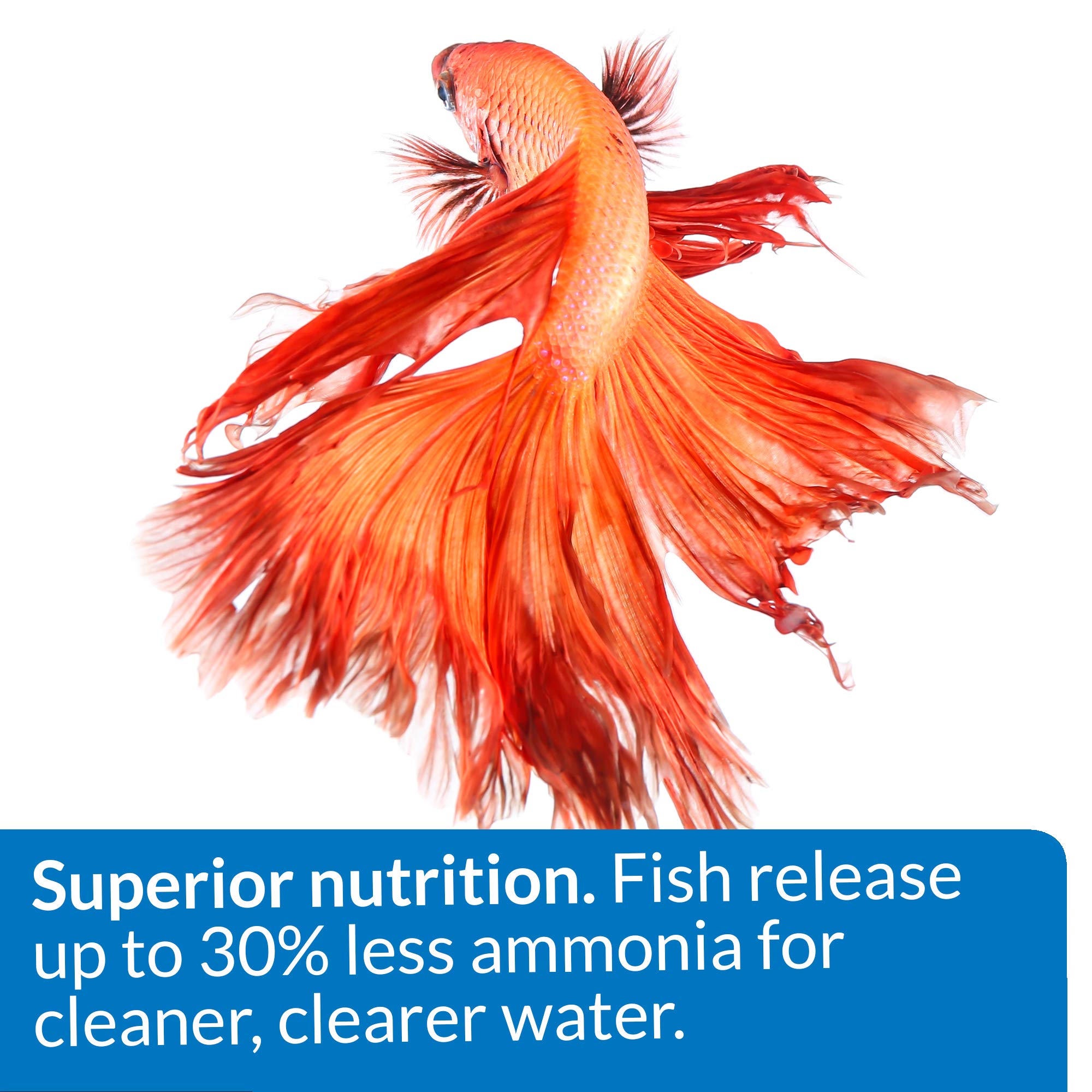 API Betta Food convient à Betta et à d'autres poissons populaires.