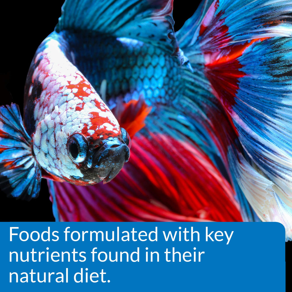 API Betta Food ingrédients riches comme algues et crevettes pour goût apprécié.