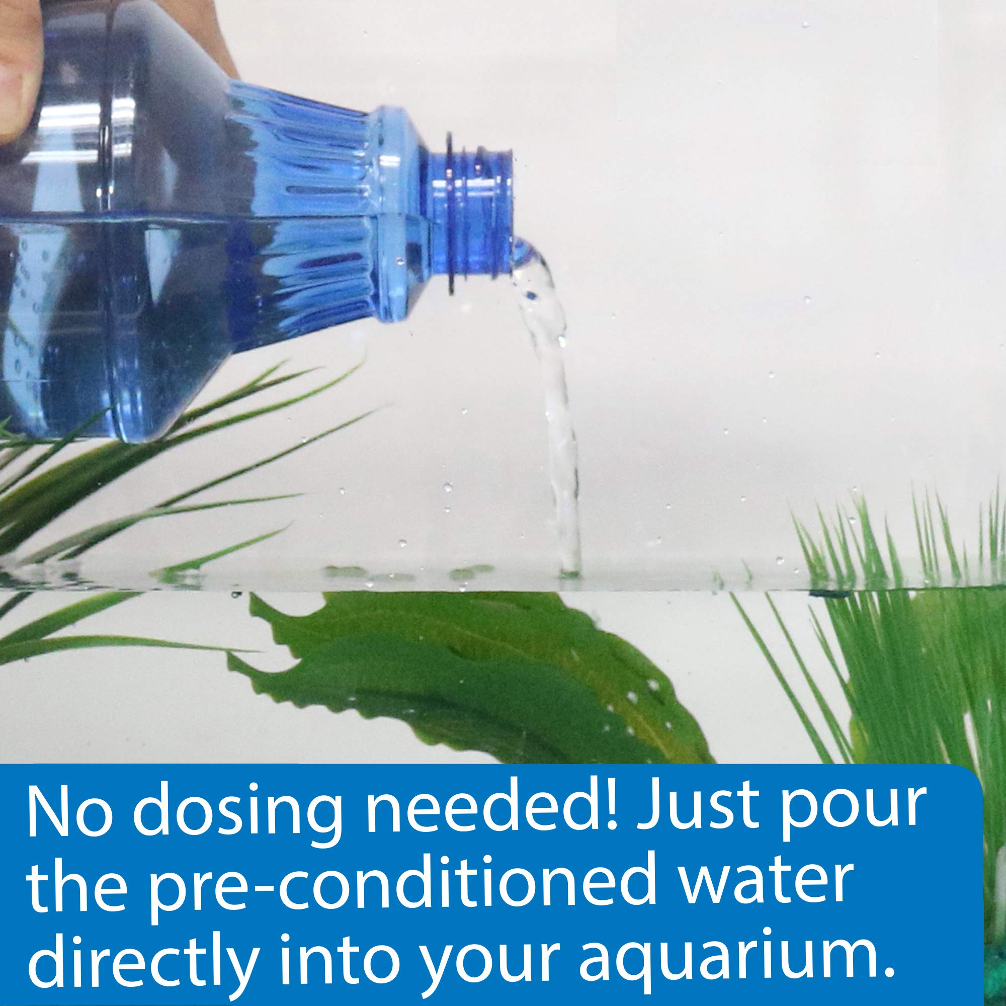 API Betta Water, eau sans métaux lourds ni chlore pour Betta.