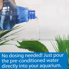 API Betta Water, eau sans métaux lourds ni chlore pour Betta.