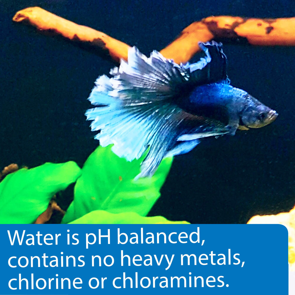 API Betta Water, versement facile pour ajouter l'eau sans attente.