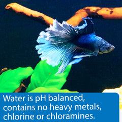 API Betta Water, versement facile pour ajouter l'eau sans attente.