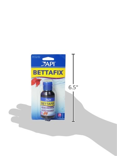 API BETTAFIX peut soutenir la guérison des tissus dans l'aquarium
