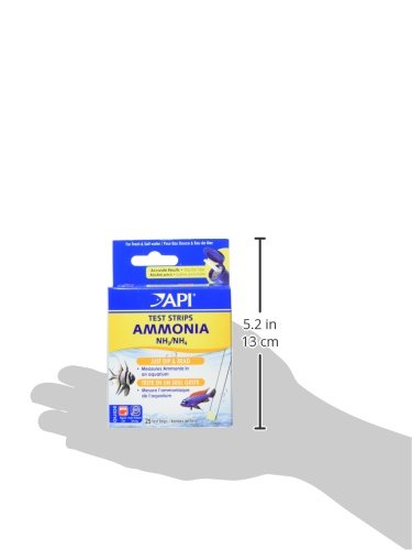 API boîte bandes-test-ammoniaque ouverte, idéal lors de l’installation.