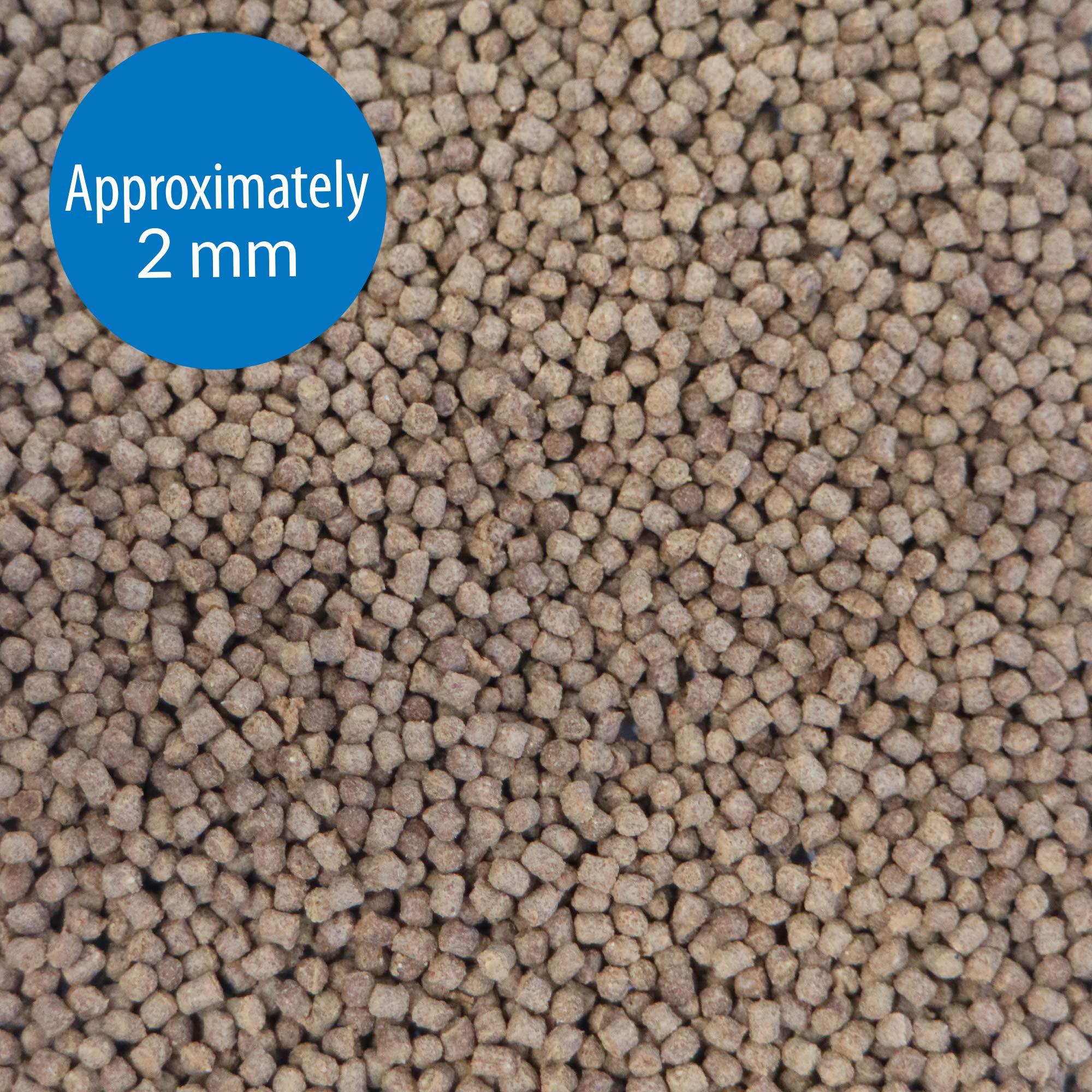 API CICHLID PELLETS: utilisation quotidienne simple, nourrissez deux fois par jour.