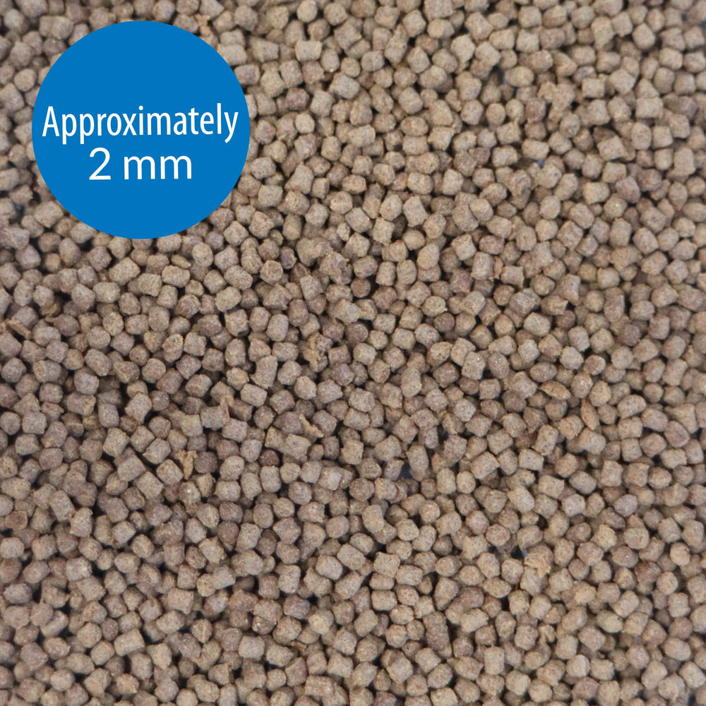 API CICHLID PELLETS: utilisation quotidienne simple, nourrissez deux fois par jour.