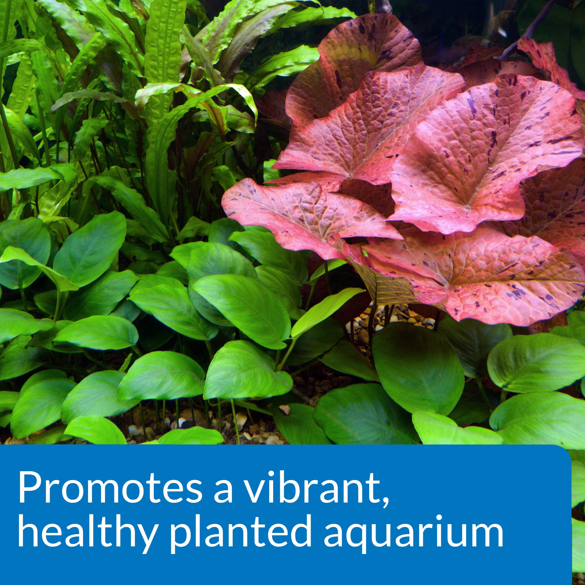 API CO2 BOOSTER – carbone absorbable dans l’eau douce des plantes