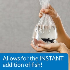 API Démarrage rapide – ajout immédiat de poissons grâce au traitement.