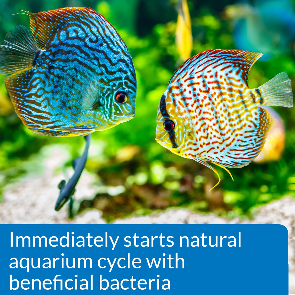 Ajout de poissons dans un nouvel aquarium grâce à API démarrage rapide.