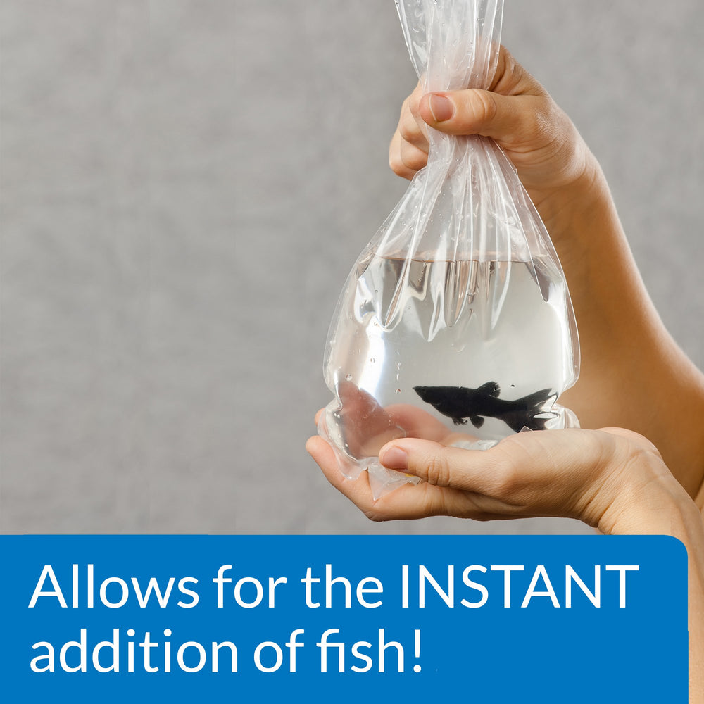 Démarrage rapide du cycle de l'aquarium grâce à API démarrage rapide.