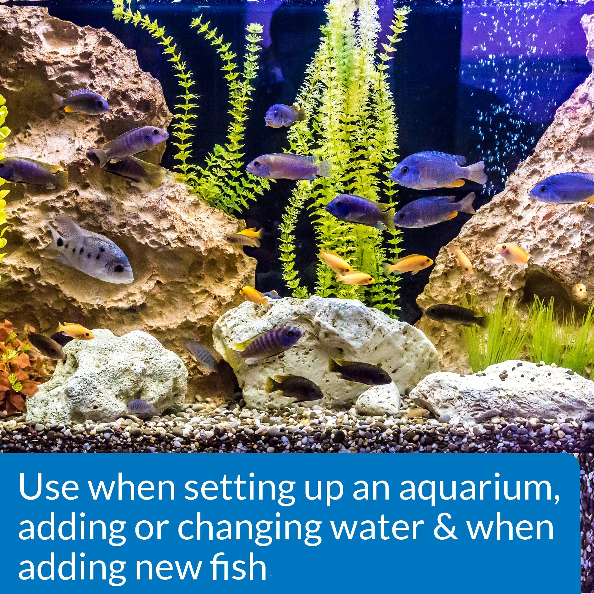 Étiquette et emballage API démarrage rapide décrivant l'utilisation pour l'aquarium.