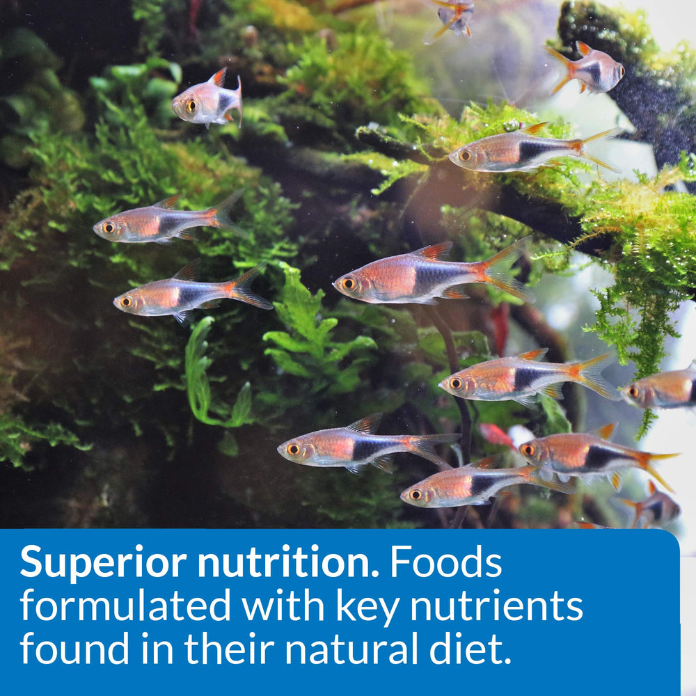 Api Flocons Tropical, caroténoïdes améliorant la couleur des poissons.