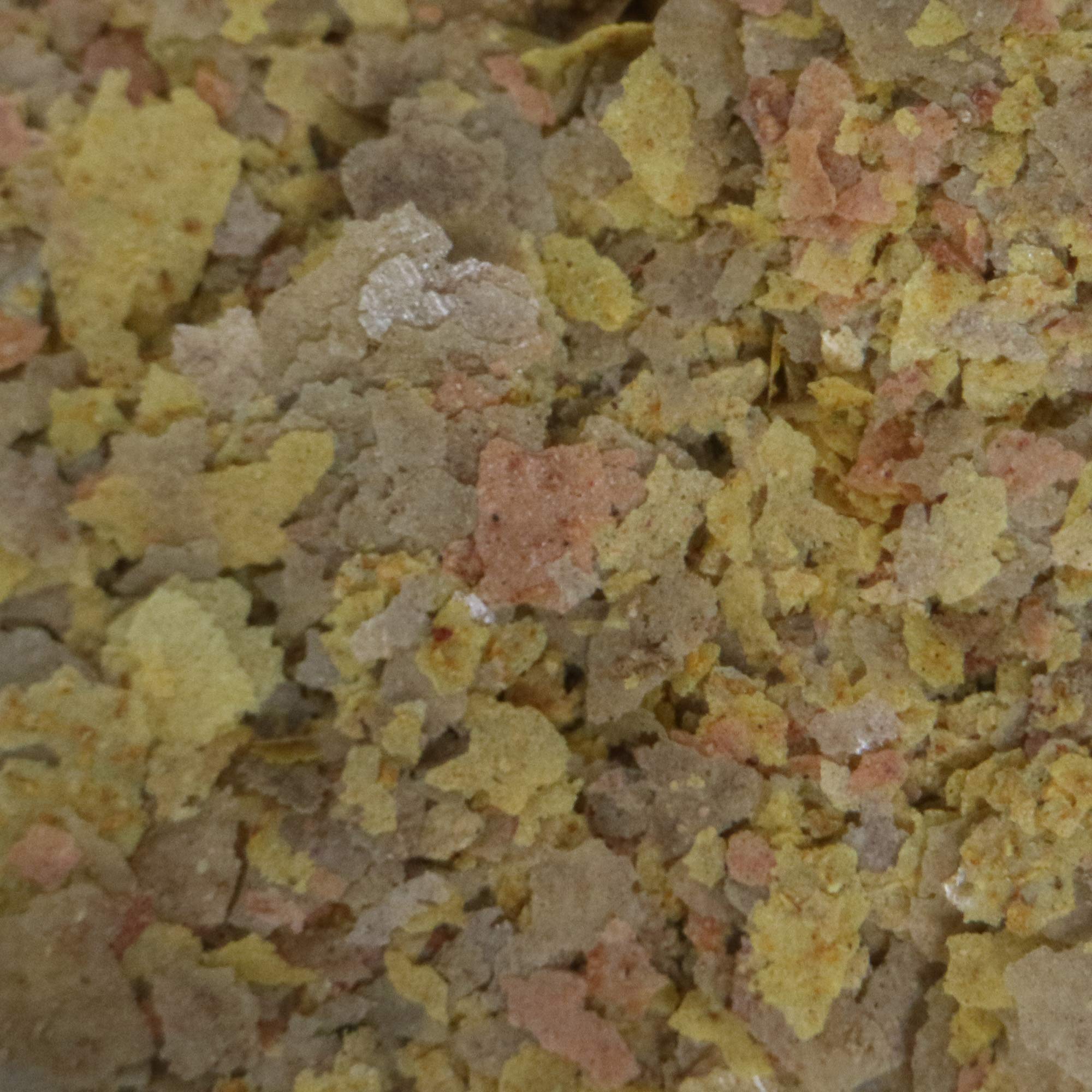 Pulpe de betterave dans les flocons API Verdure Tropicale pour une digestion douce.