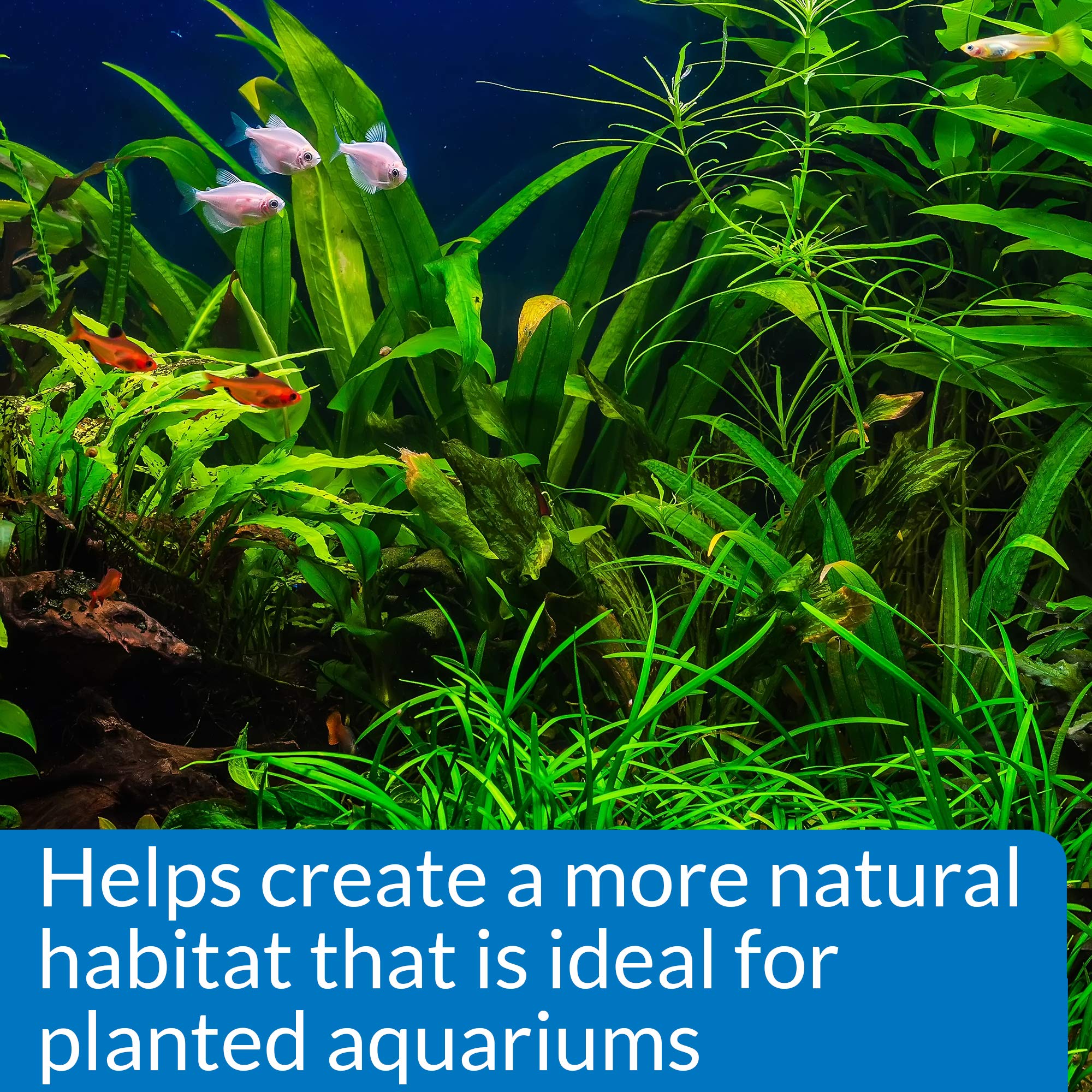Idéal pour l’entretien des poissons et plantes d’eau douce API.