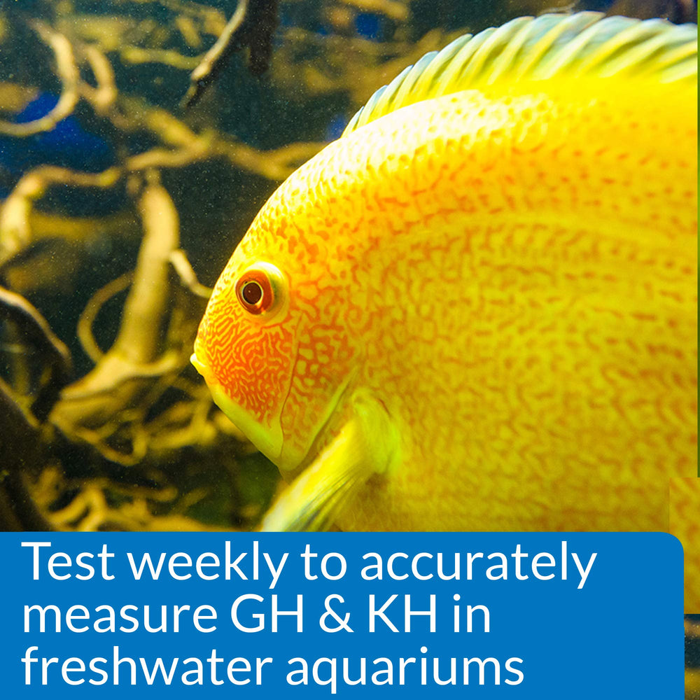 Mesures GH et KH faciles à interpréter pour l’aquarium.