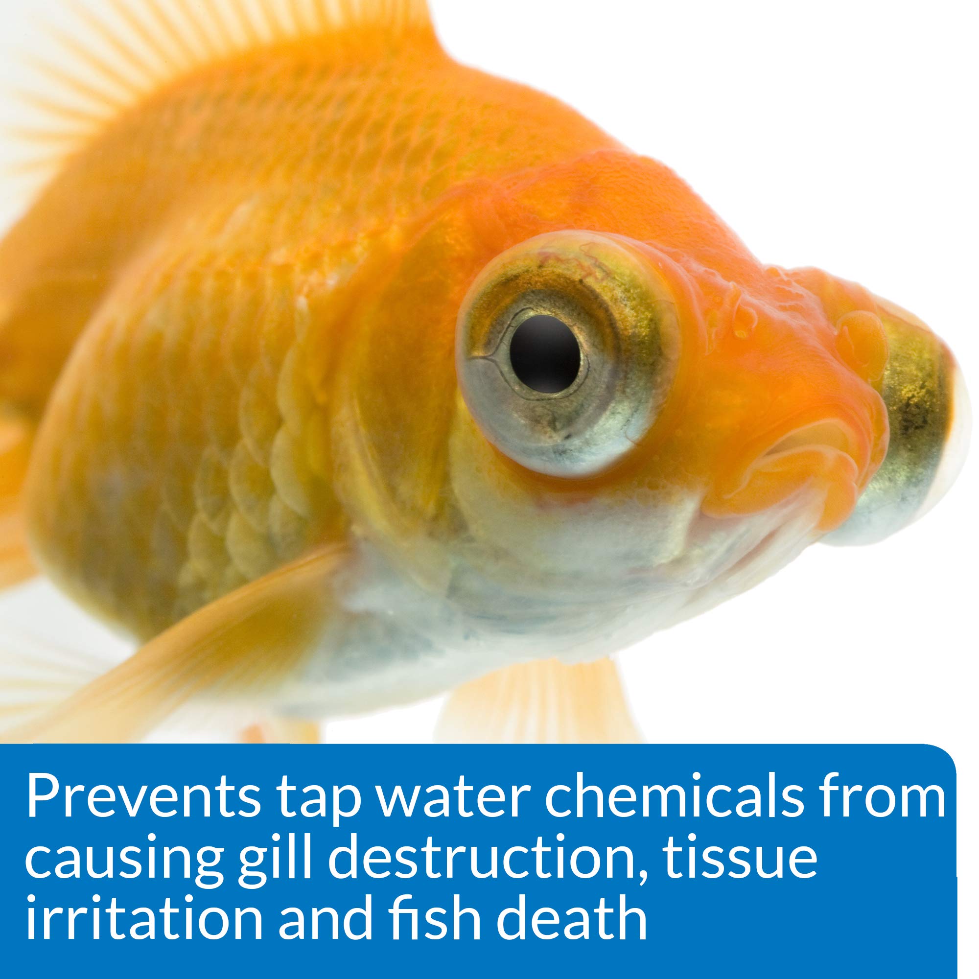 API GOLDFISH CARE PACK – Ensemble d'entretien complet pour bac à poissons rouges.