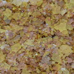 Protéines améliorées dans API Goldfish Flakes pour une absorption optimale et eau plus claire.