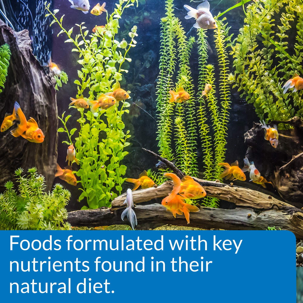 API GOLDFISH PELLETS - caroténoïdes pour des couleurs vives