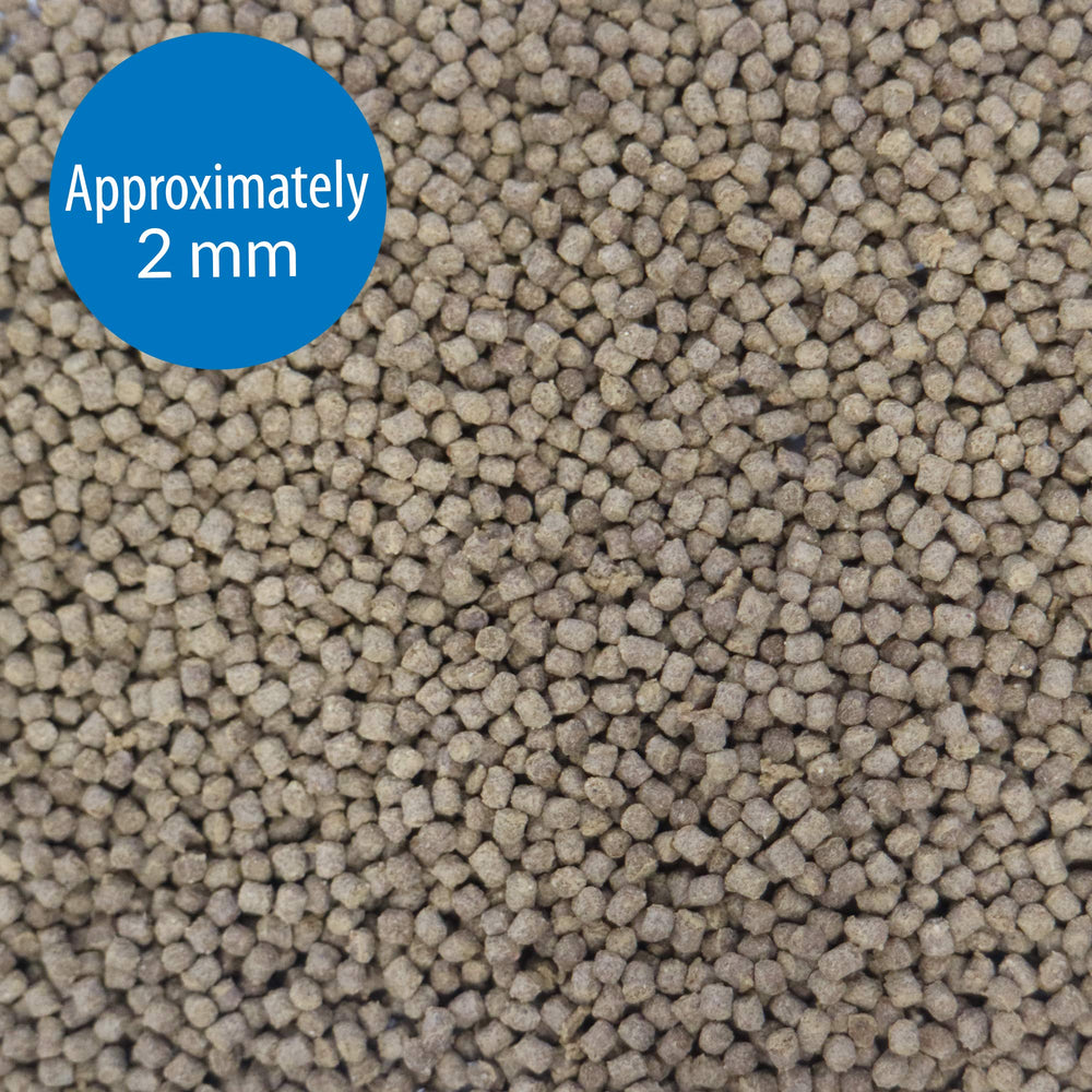 API GOLDFISH PELLETS - eau plus claire grâce à une meilleure utilisation des nutriments