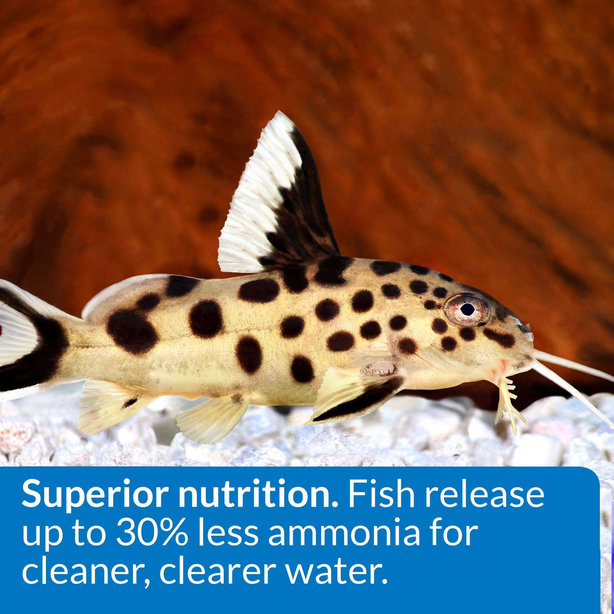 API granulés pour poissons de fond, équilibre nutritionnel et réduction potentielle des déchets.