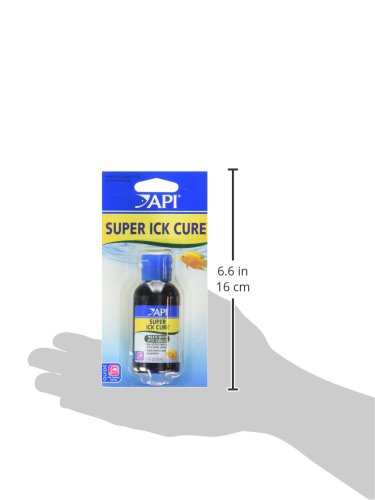 API LIQUID SUPER ICK CURE: présentation pratique de l’ensemble API.