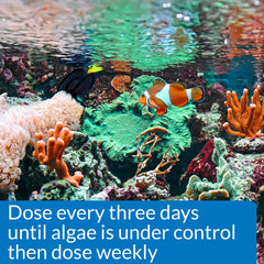 API MARINE ALGAEFIX — contrôle des algues dans un bac salin sans nuire aux poissons.