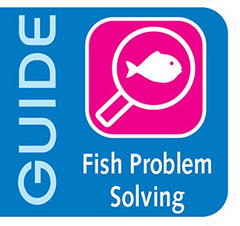 API MARINE MELAFIX prévention lors de l’arrivée de nouveaux poissons dans l’aquarium.