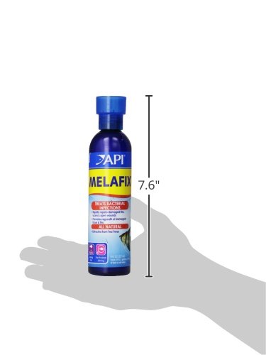 API MELAFIX application sur 7 jours pour infections chez les poissons.