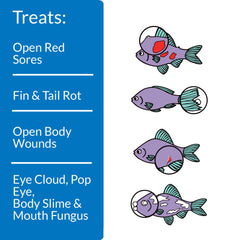 API Melafix – traitement des infections bactériennes chez poissons d’eau douce.