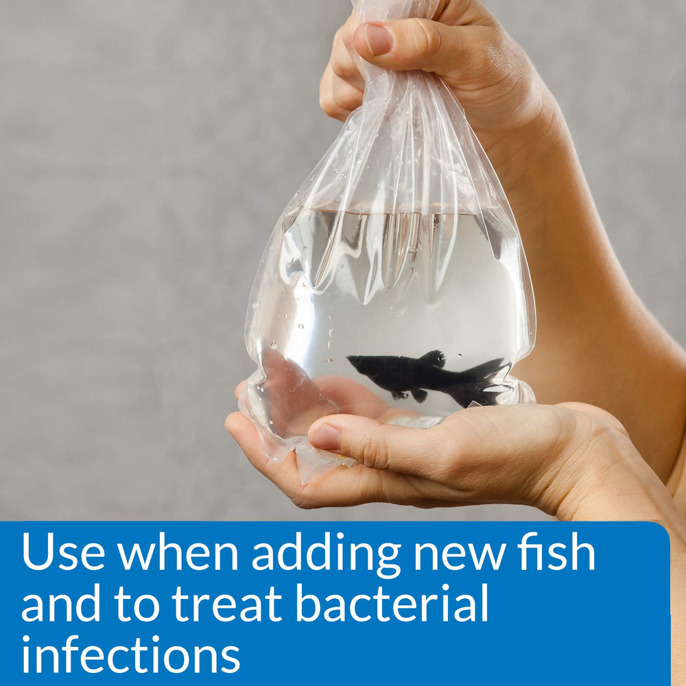 API MELAFIX aide à traiter les poissons nouvellement introduits pour réduire les risques.