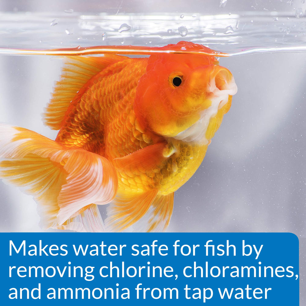 Aquarium clair après traitement API, bac sain grâce au nettoyage