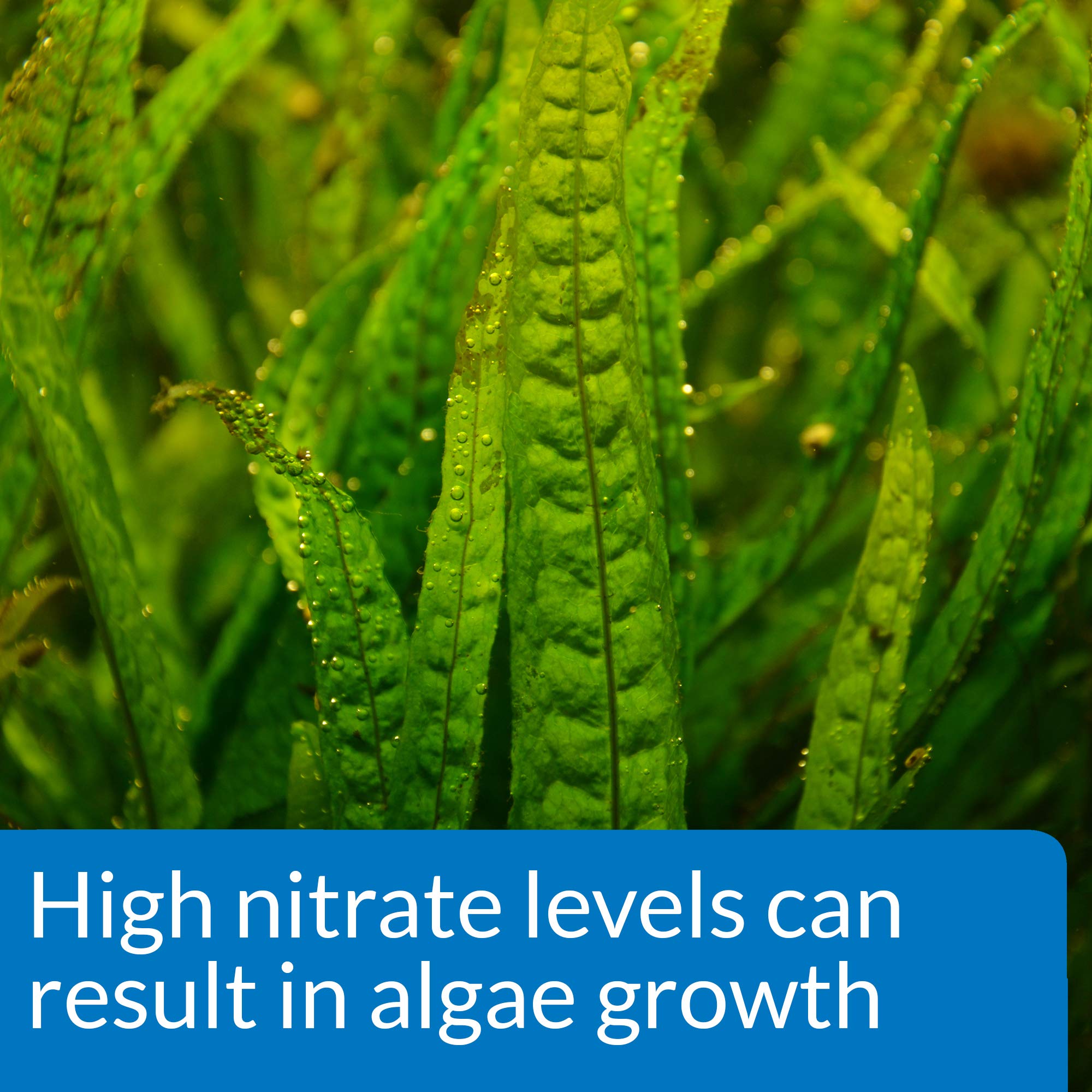 API NITRATE 90-Test : deux bouteilles de solutions pour tests fiables